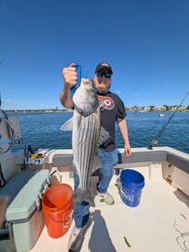 A very happy memorial day 