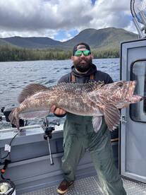 Ketchikan Report Photo 2