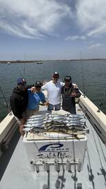 Great island fishing happening now!