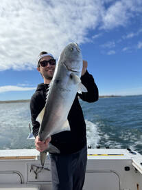 Mastic Beach Report Photo 2