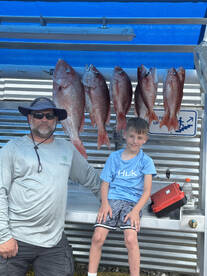 Snapper catches this week