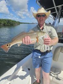Sarasota Report Photo 2