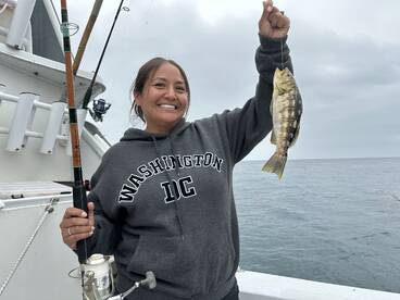 Oceanside Report Photo 2