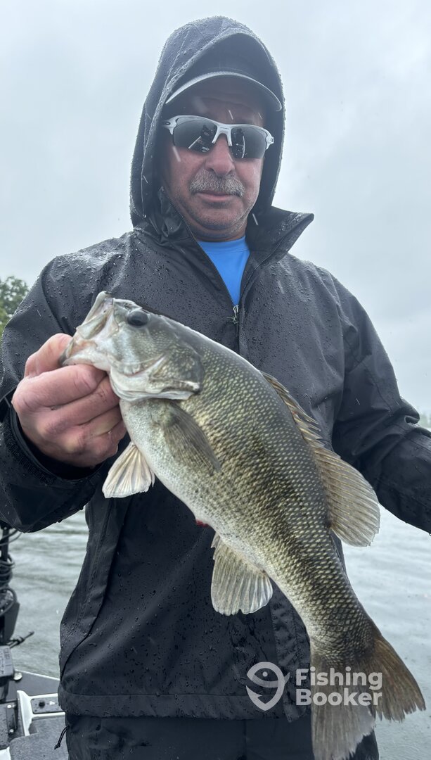 Branson Report Photo 0