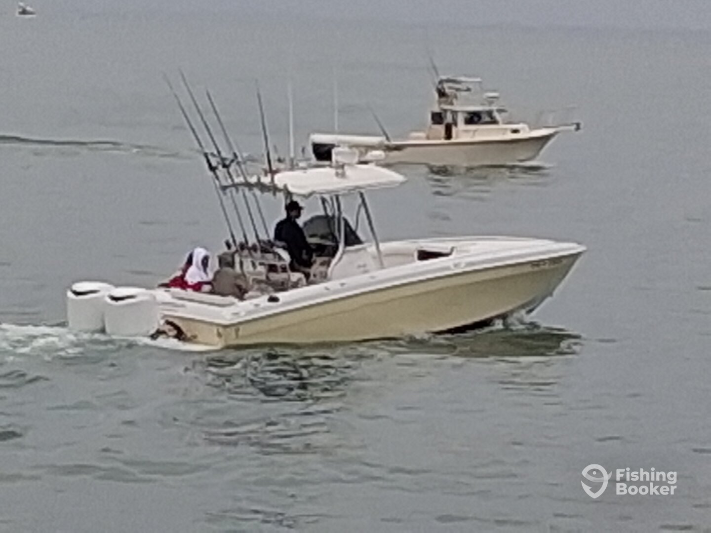 Dana Point Report Photo 0