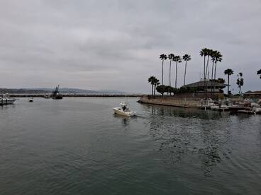 Dana Point Report Photo 1