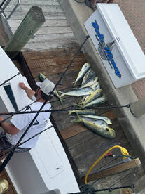 Morehead City Report Photo 2