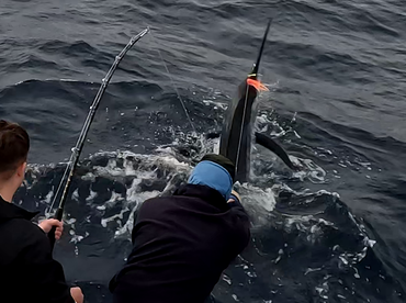 Ambition Report 27th.May’25