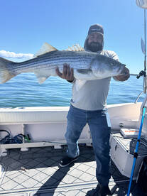 Fairhaven Report Photo 1