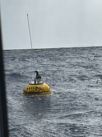 Haleiwa Report Photo 2