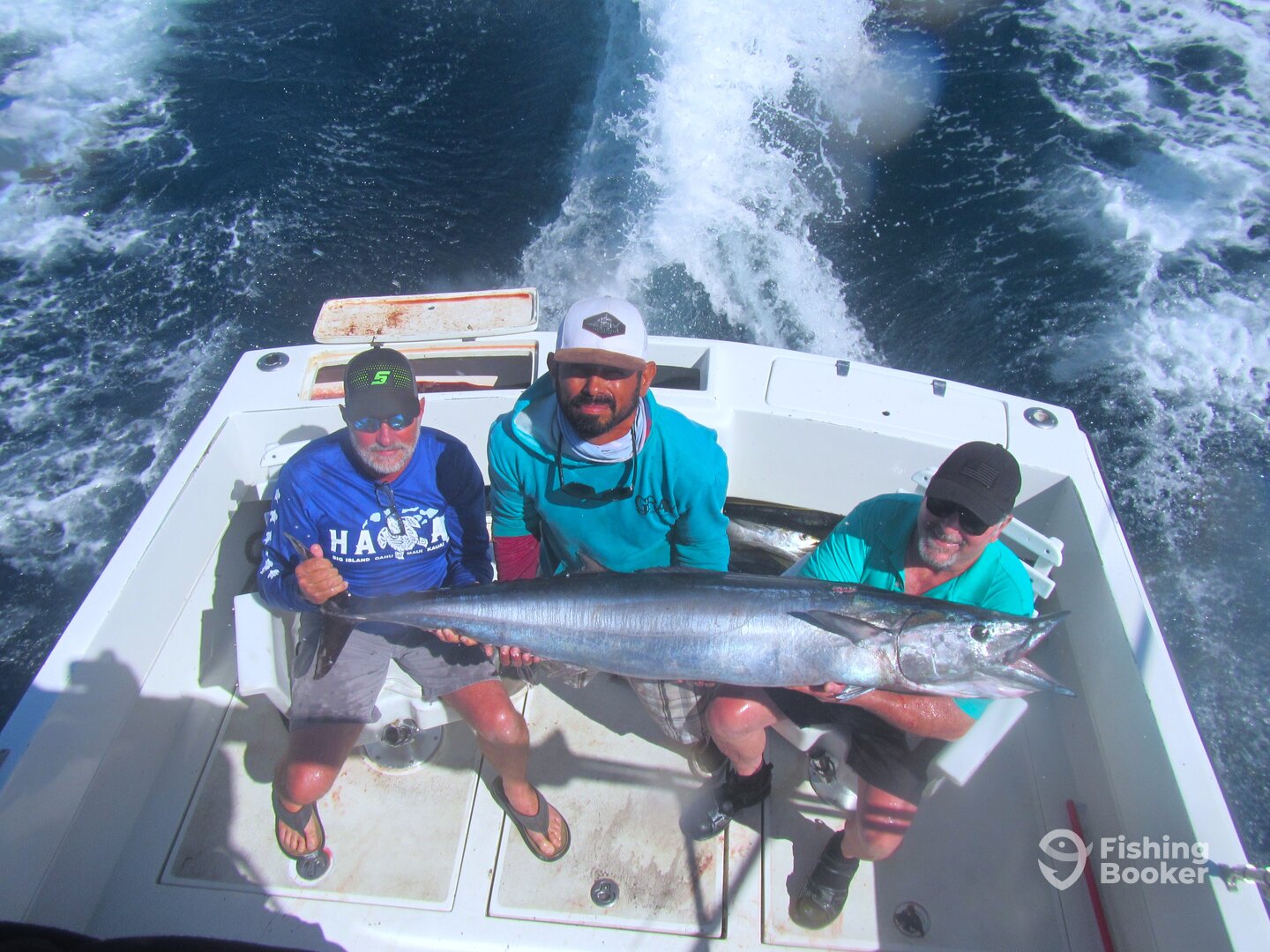 Cabo San Lucas Report Photo 0