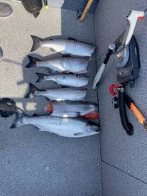 The ho’s have arrived  