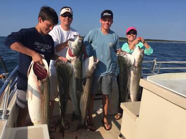 Montauk Report Photo 1