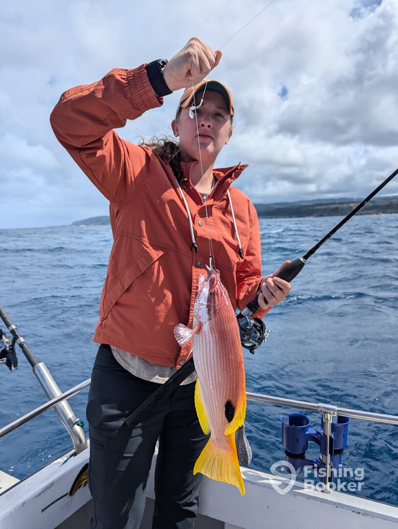 Haleiwa Report Photo 0