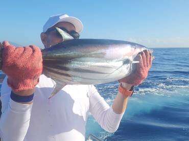 Big bonito