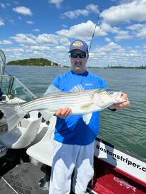 The striper have arrived in good numbers