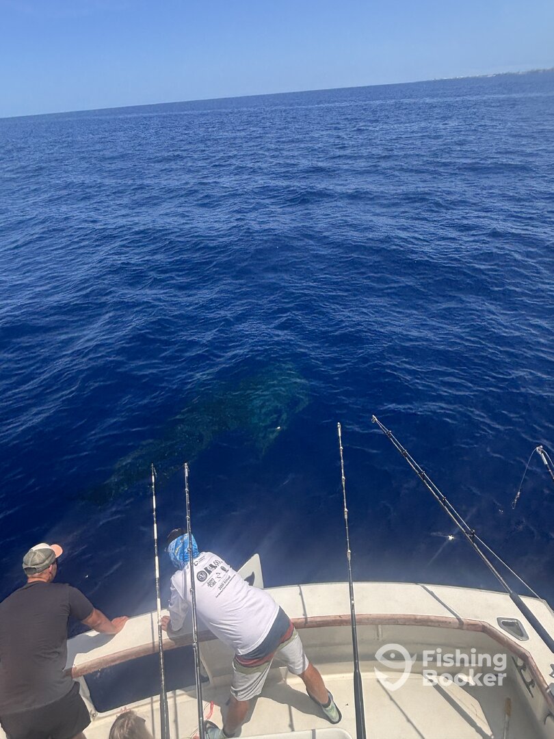 Kailua-Kona Report Photo 0
