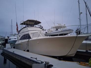 Dana Point Report Photo 1