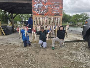 The fish are snappy!