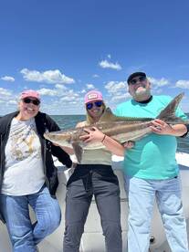 The cobia are here