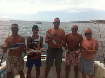 Barracudas and skipjack 