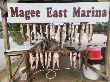 Oak Harbor Report Photo 2