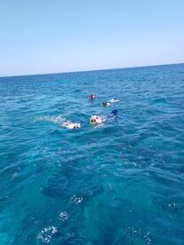Sandy Bay Report Photo 1