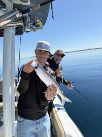 Traverse City Report Photo 2