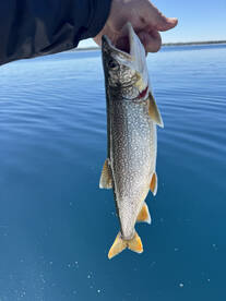 Traverse City Report Photo 1