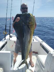 Mahi y marlin todays 