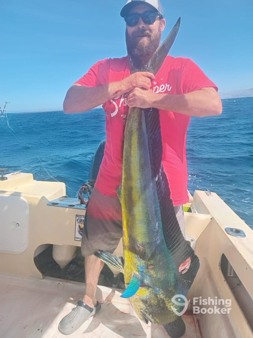 Cabo San Lucas Report Photo 0