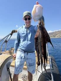 Big octapus and small grouper