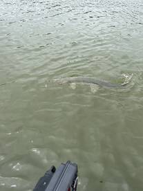 Jason, Glenn and the river spin