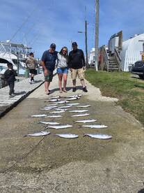 Wanchese Report Photo 1