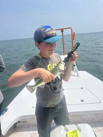 Spotted Sea Trout Chase and Thrilling Ca