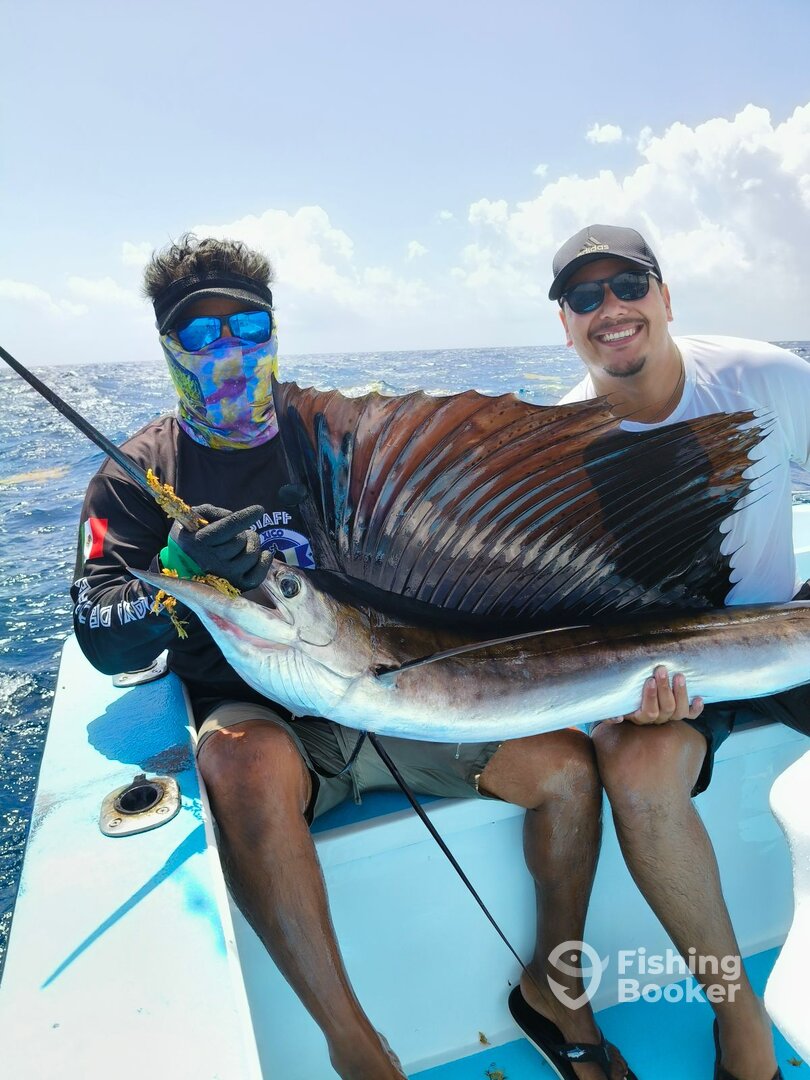 Playa Del Carmen Report Photo 0
