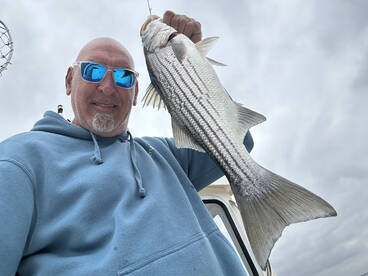 Striped bass and fluke