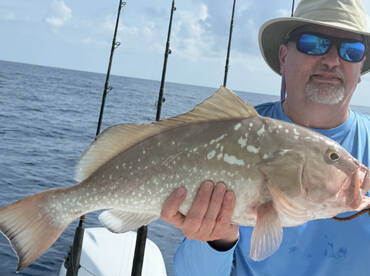 Belleair Bluffs Report Photo 1