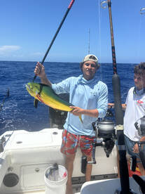 Red and Black grouper mahi Tuna