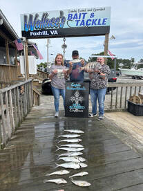 Trophy Sheepshead and plenty of Dinner
