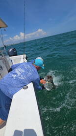 Monster tarpon are biting!!