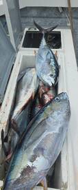 10-hour fishing trip