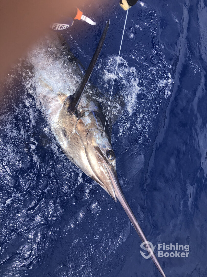Calheta Report Photo 0