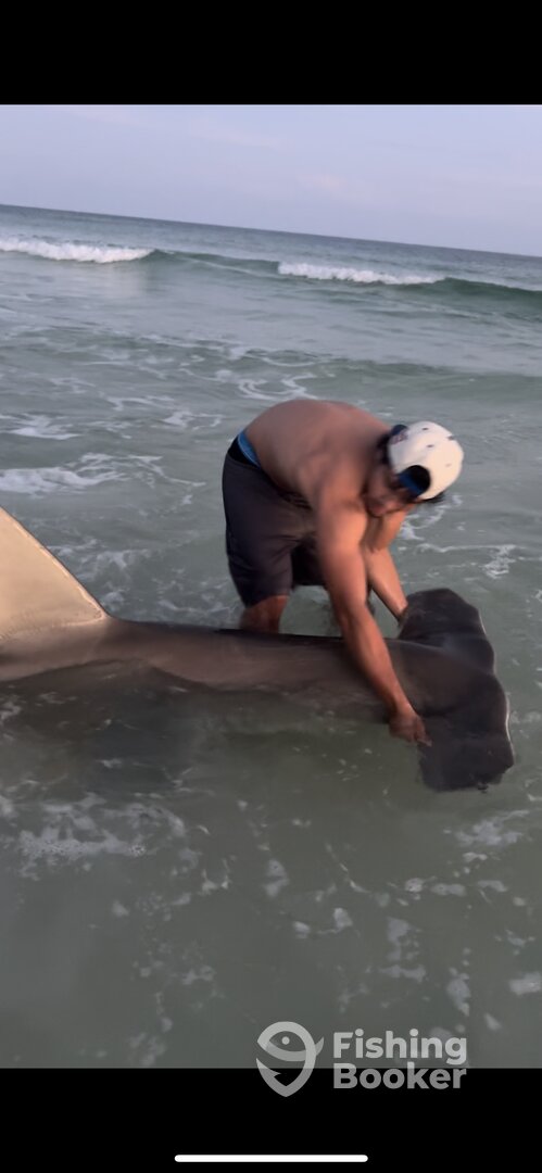 Destin Report Photo 0