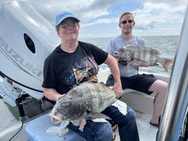 Geat day on the bay today catching sheep