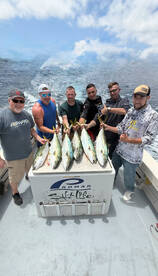 Great yellowtail fishing yesterday Book 