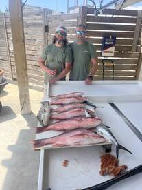 Snapper season