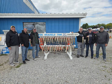 Port Clinton Report Photo 2