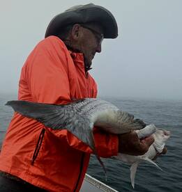Narragansett Report Photo 1