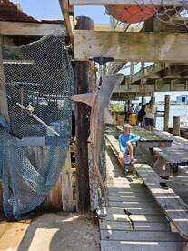 Freeport Report Photo 2